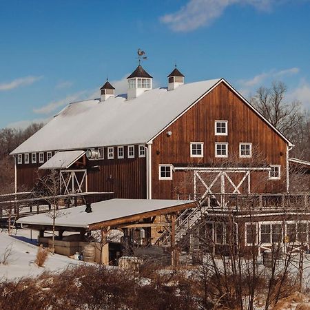 Bed and Breakfast Zion Springs Hamilton Екстер'єр фото